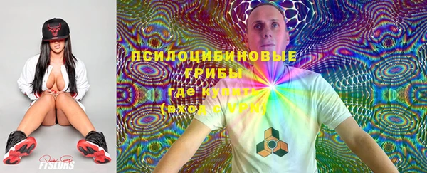 спиды Надым