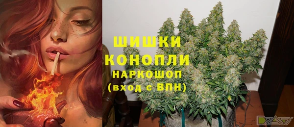 спиды Надым