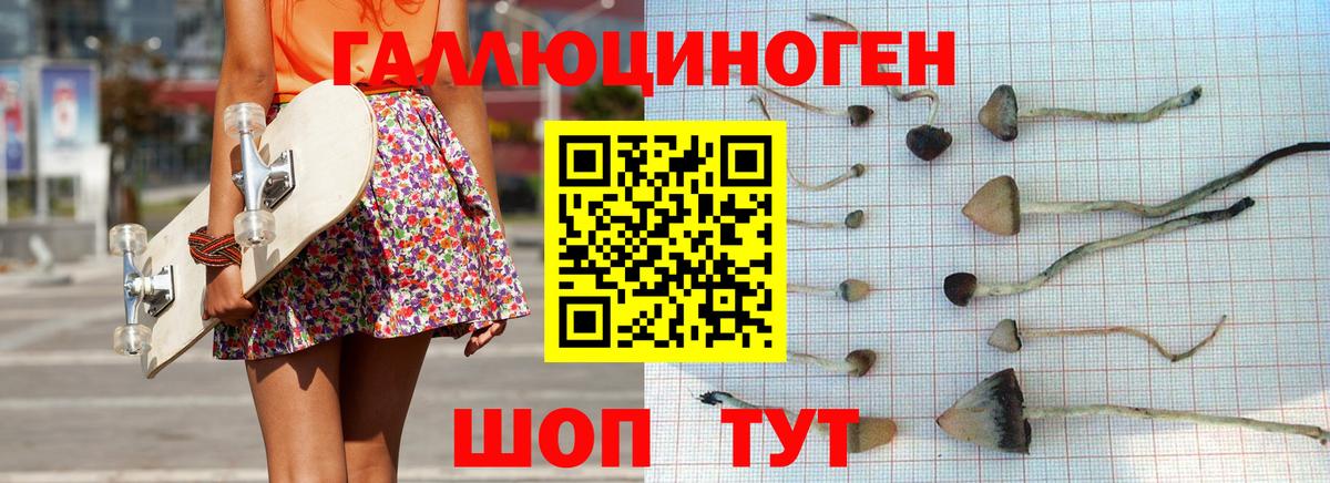 Великий Новгород  Галлюциногенные грибы ЛСД  Галлюциногенные грибы GOLDEN TEACHER  Вход с VPN 