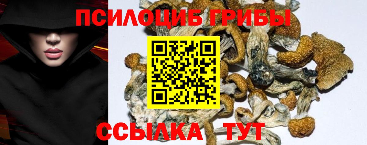 Псилоцибиновые грибы MAGIC MUSHROOMS  Великий Новгород 