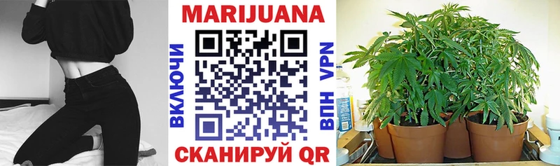МАРИХУАНА планчик  купить наркотики сайты  Великий Новгород 